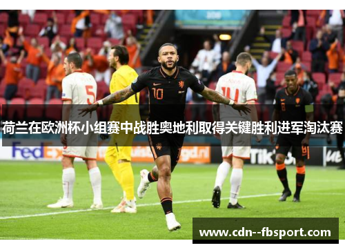 荷兰在欧洲杯小组赛中战胜奥地利取得关键胜利进军淘汰赛 荷兰在欧洲杯小组赛中战胜奥地利取得关键胜利进军淘汰赛