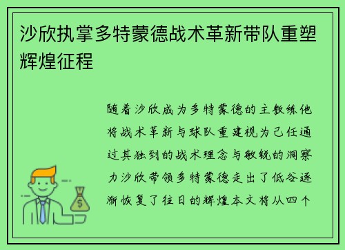 沙欣执掌多特蒙德战术革新带队重塑辉煌征程